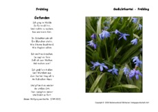 Gefunden-Goethe.pdf